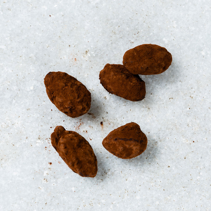 Individual roasted almonds covered in hazelnut chocolate and cocoa powder.